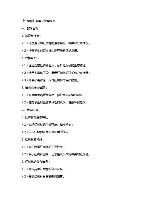 《红树林》教案及教学反思