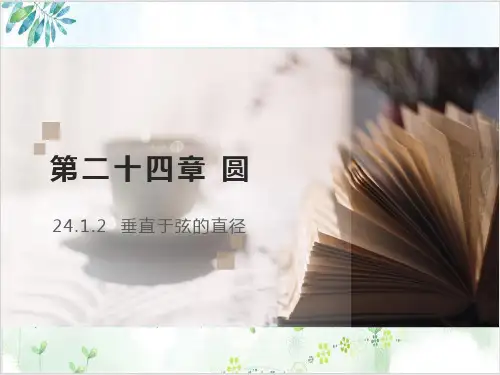 《垂直于弦的直径》完美课件 人教版1