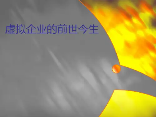 虚拟企业案例分析