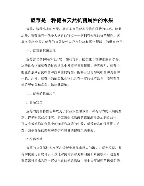蓝莓是一种拥有天然抗菌属性的水果