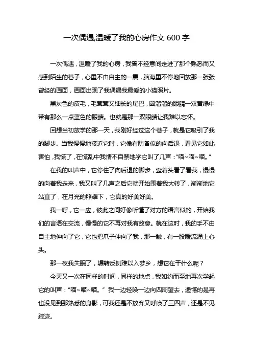 一次偶遇,温暖了我的心房作文600字