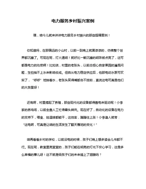 电力服务乡村振兴案例