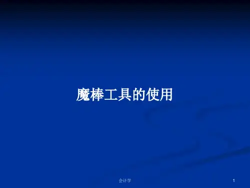 魔棒工具的使用PPT学习教案