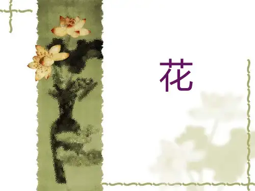 被子植物花(1)