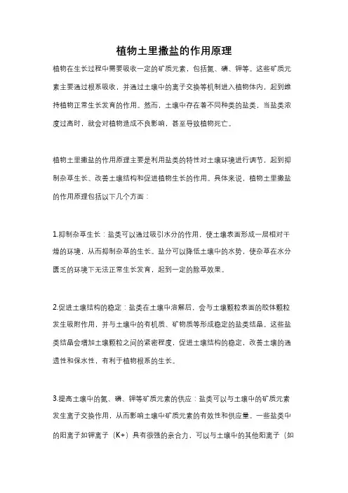 植物土里撒盐的作用原理