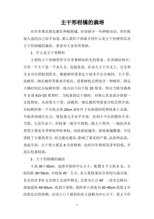 主干形柑橘的栽培