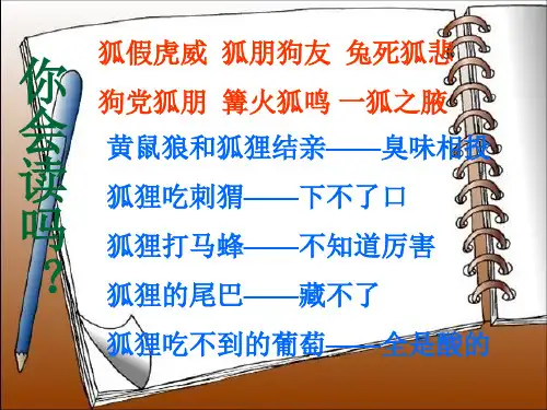 六年级上册语文课件24《金色的脚印》｜人教新课标 (共17张PPT)