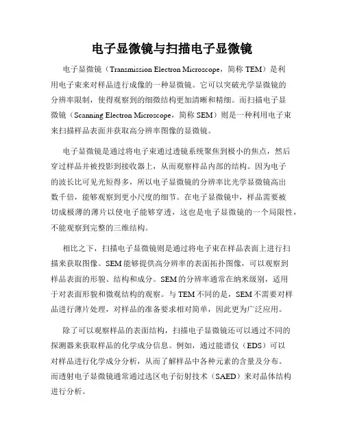 电子显微镜与扫描电子显微镜