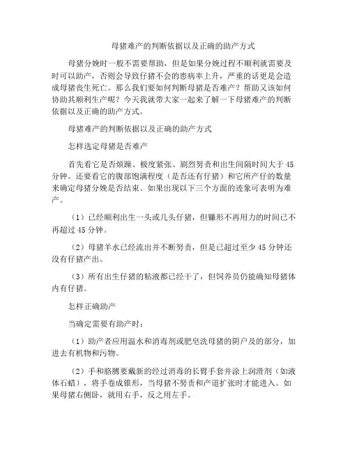 母猪难产的判断依据以及正确的助产方式