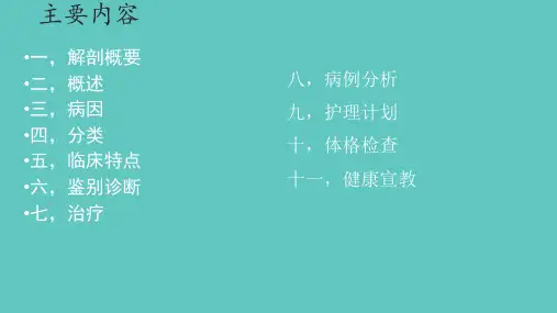 胸外科(肺)护理查房PPT课件