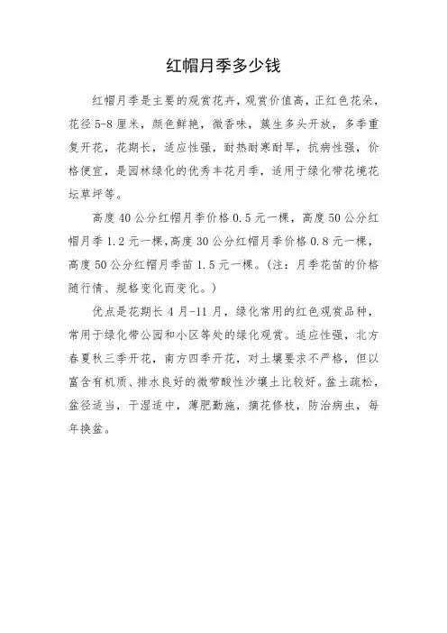 红帽月季多少钱