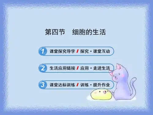 2023秋人教版七上第四节《细胞的生活》ppt