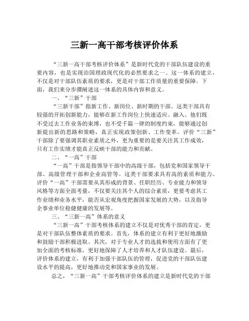 三新一高干部考核评价体系