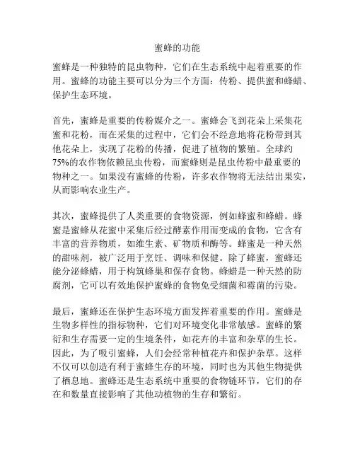 蜜蜂的功能