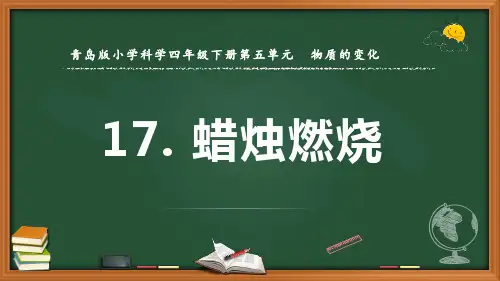 优质课件《蜡烛燃烧》课件