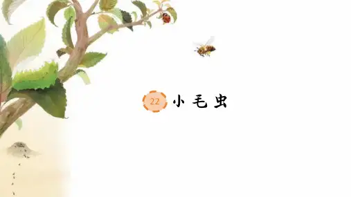 二下 22 小毛虫 课件(36张PPT)