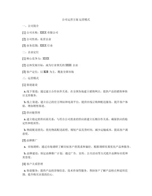 公司运营方案 运营模式