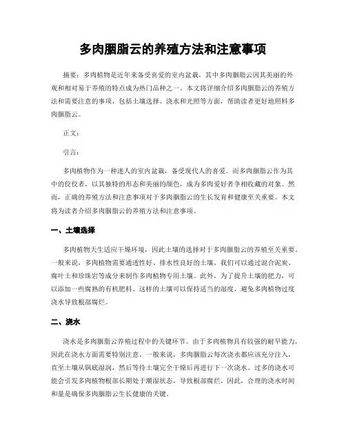 多肉胭脂云的养殖方法和注意事项