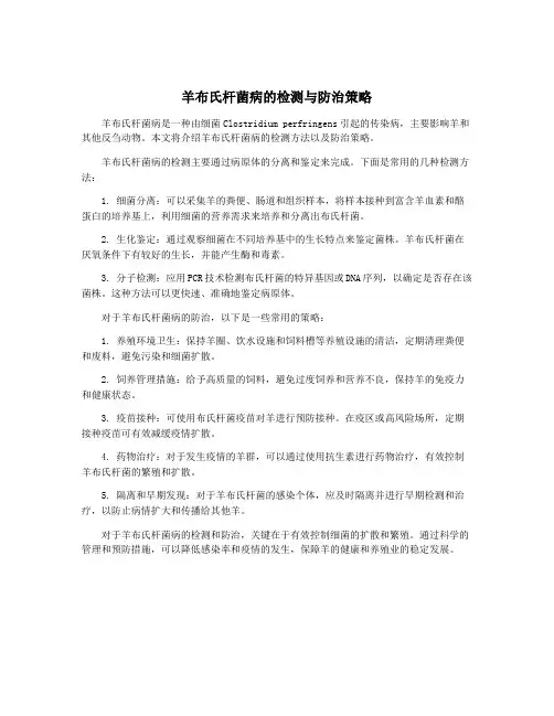 羊布氏杆菌病的检测与防治策略