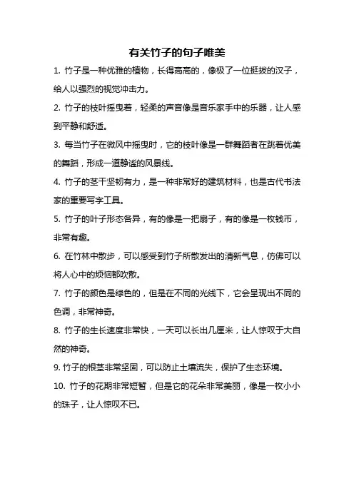 有关竹子的句子唯美