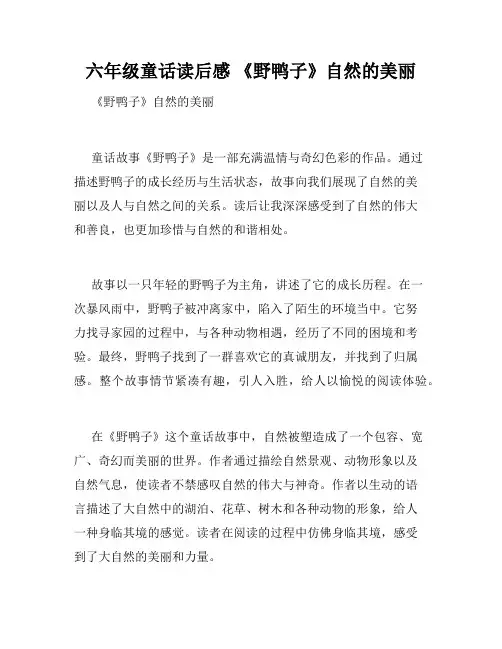 六年级童话读后感 《野鸭子》自然的美丽