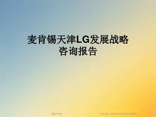 麦肯锡天津LG发展战略咨询报告