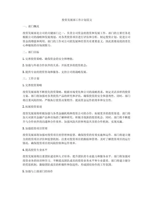 投资发展部工作计划范文