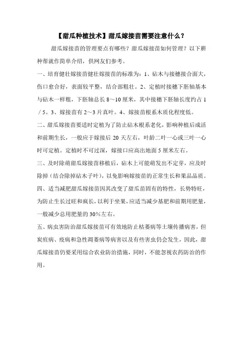 【甜瓜种植技术】甜瓜嫁接苗需要注意什么？