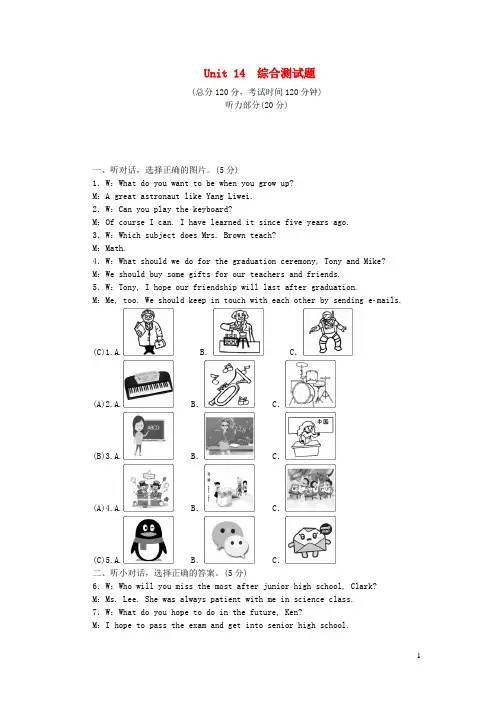 九年级英语全册Unit14综合测试题新版人教新目标版
