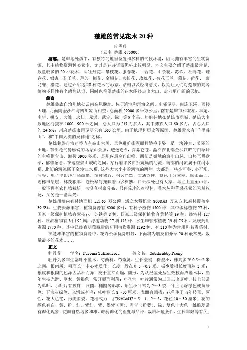 楚雄的常见花木20种