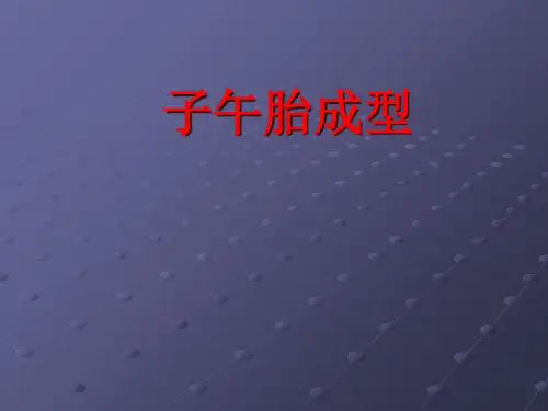 子午线轮胎成型工艺知识