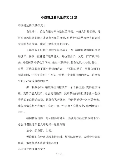 不该错过的风景作文11篇
