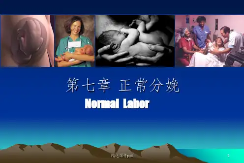 《正常分娩》PPT课件 (2)