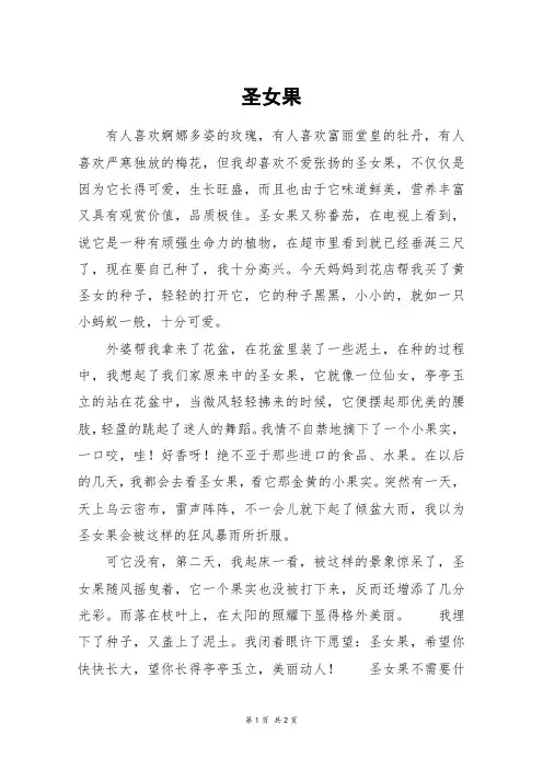 圣女果_六年级作文