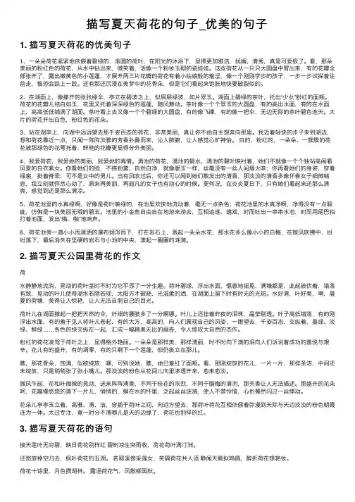 描写夏天荷花的句子_优美的句子