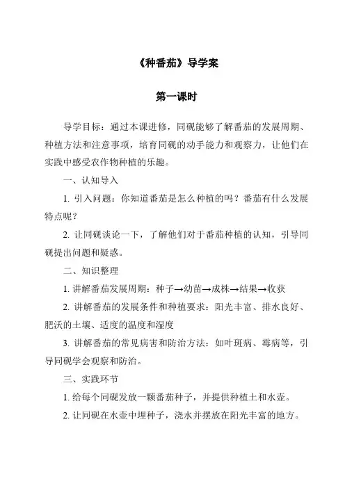 《种番茄导学案-2023-2024学年科学粤教版2001》