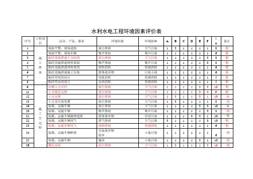 水利水电工程环境因素评价表