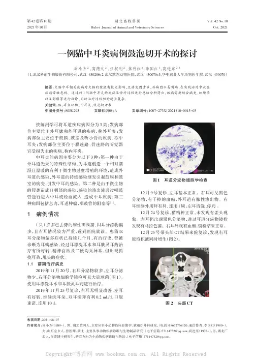一例猫中耳炎病例鼓泡切开术的探讨