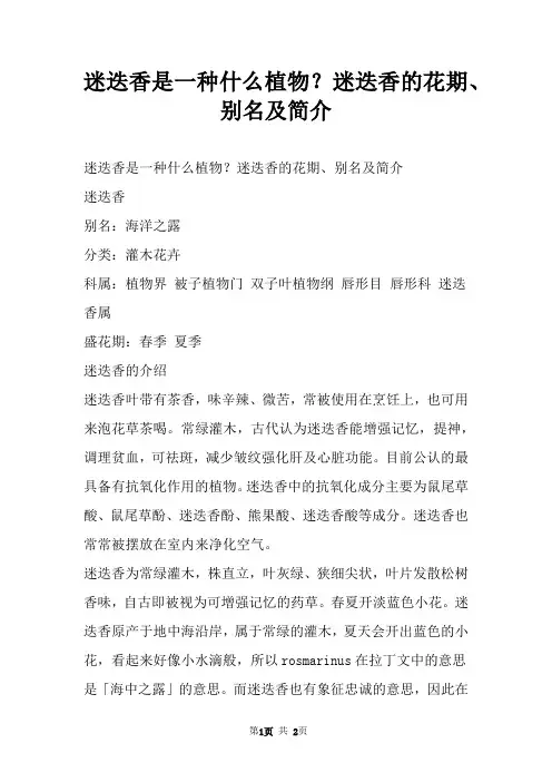 迷迭香是一种什么植物？迷迭香的花期、别名及简介