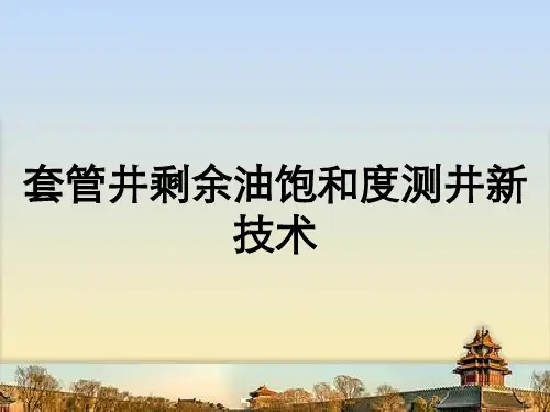 套管井剩余油饱和度测井新技术