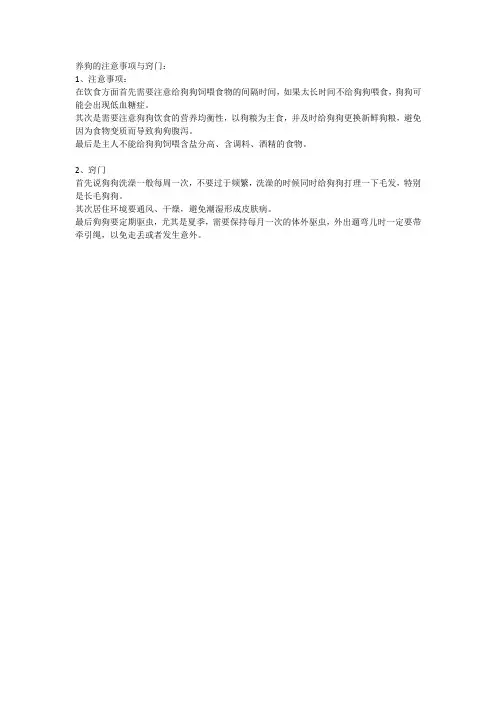 养狗的注意事项与窍门