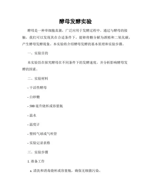 酵母发酵实验
