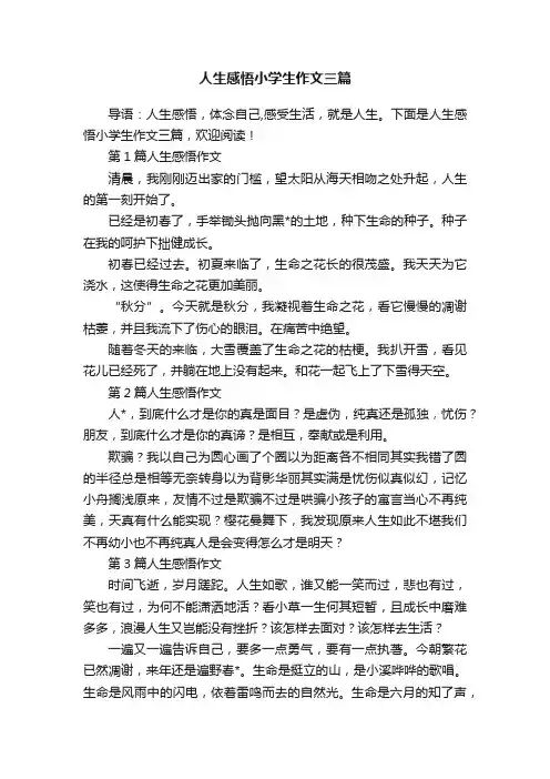 人生感悟小学生作文三篇