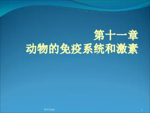 动物的免疫和内分泌系统医学PPT