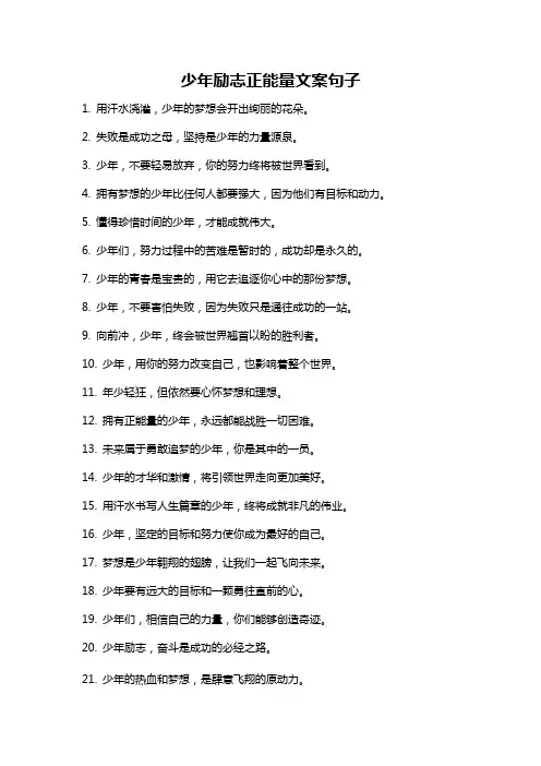 少年励志正能量文案句子
