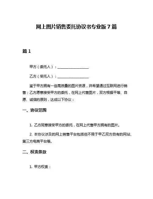 网上图片销售委托协议书专业版7篇