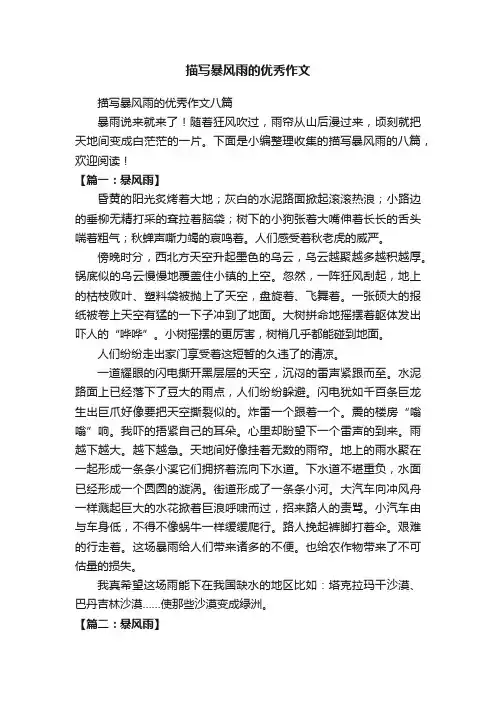 描写暴风雨的优秀作文八篇