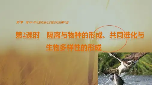 2018年高中生物必修二课件：第7章 第2节 第2课时 隔离与物种的形成、共同进化与生物多样性的形成