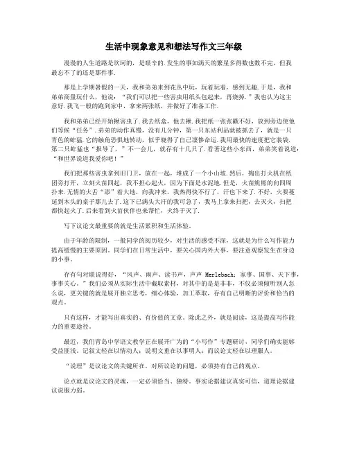 生活中现象意见和想法写作文三年级