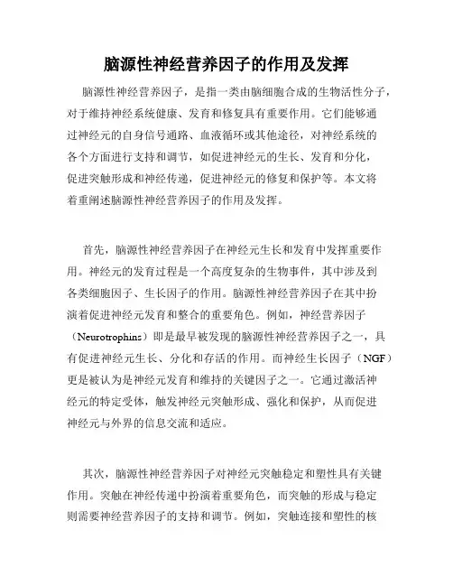 脑源性神经营养因子的作用及发挥